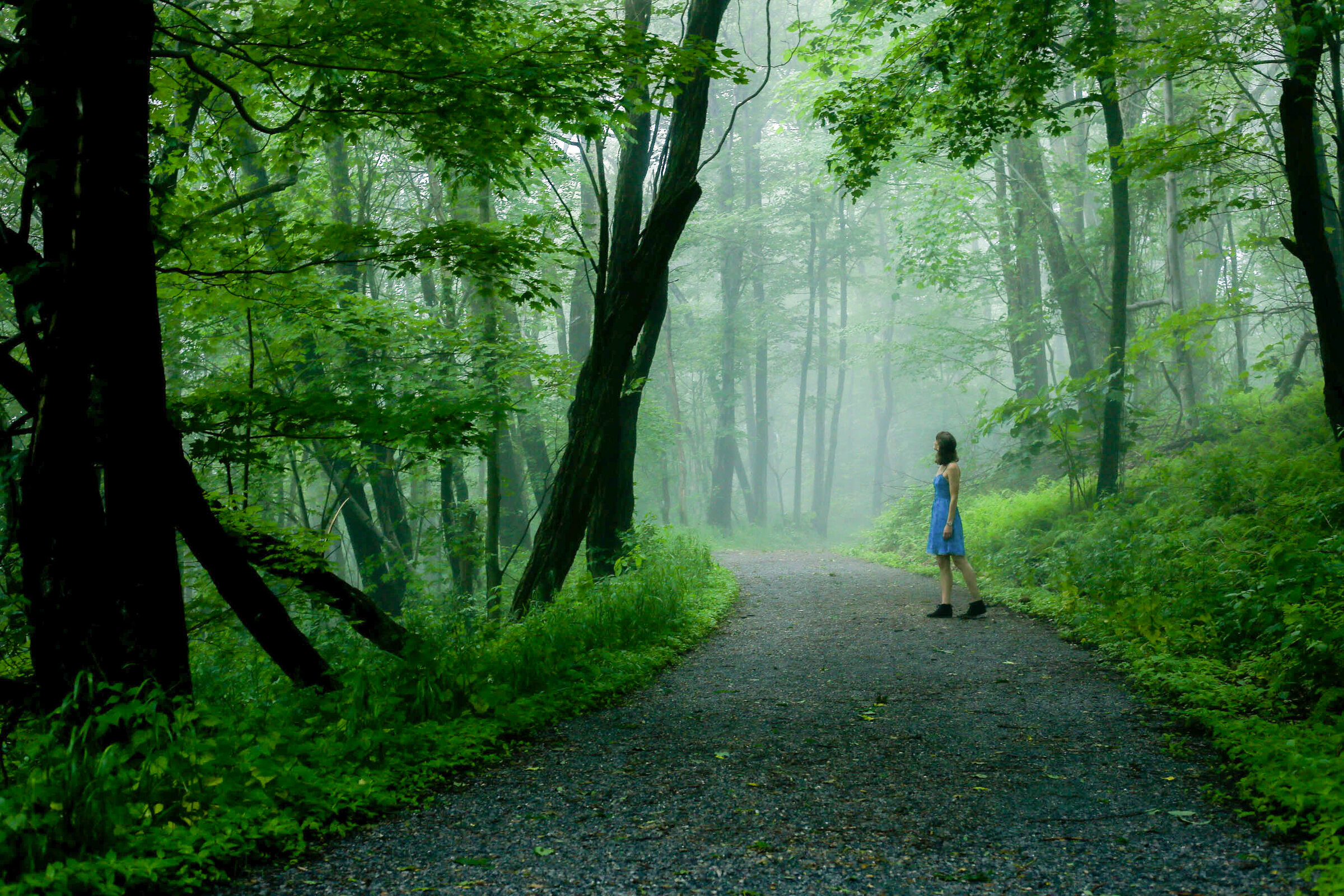 Alysa Segovia walking through a misty forest path