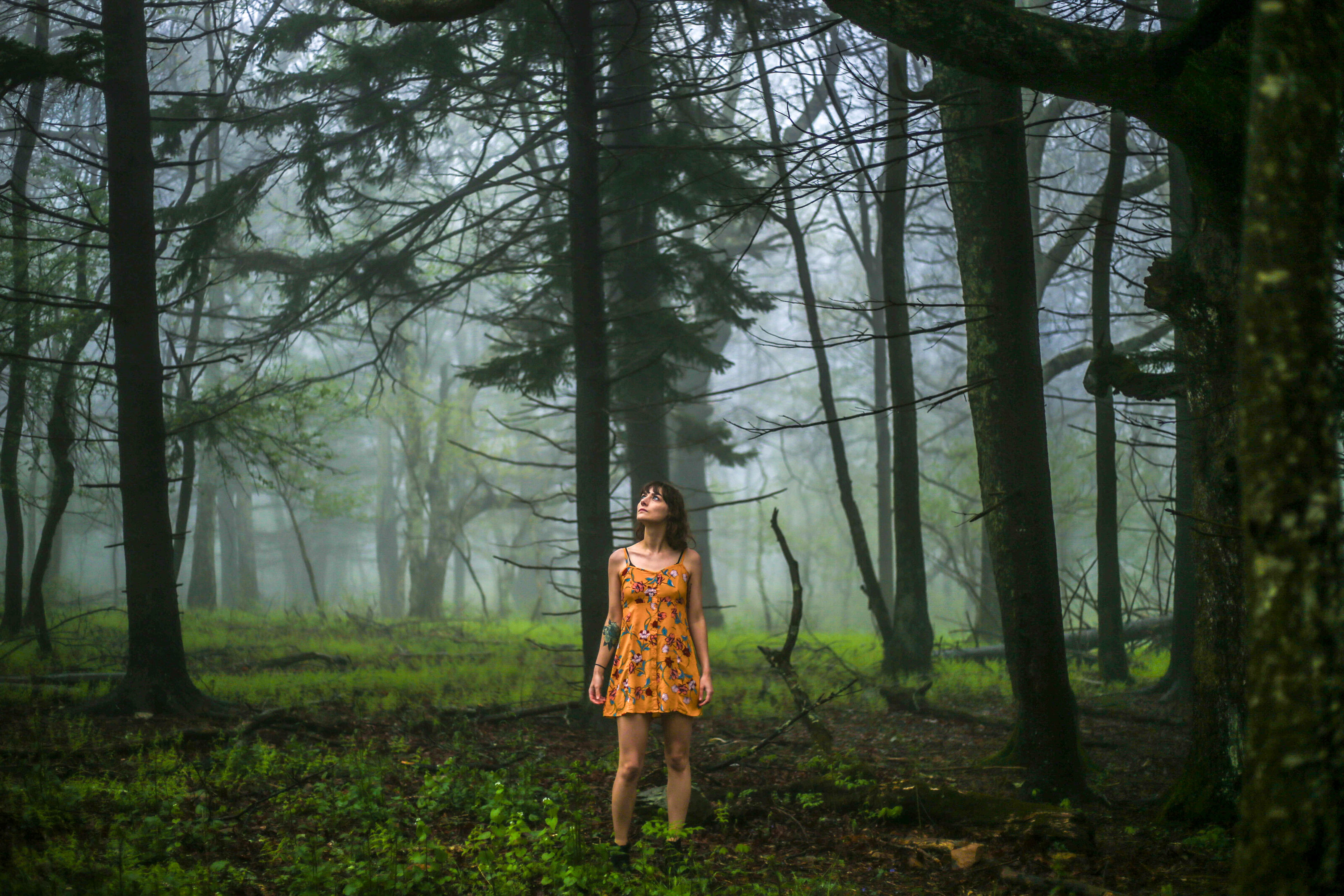 Alysa Segovia standing in a misty pine forest