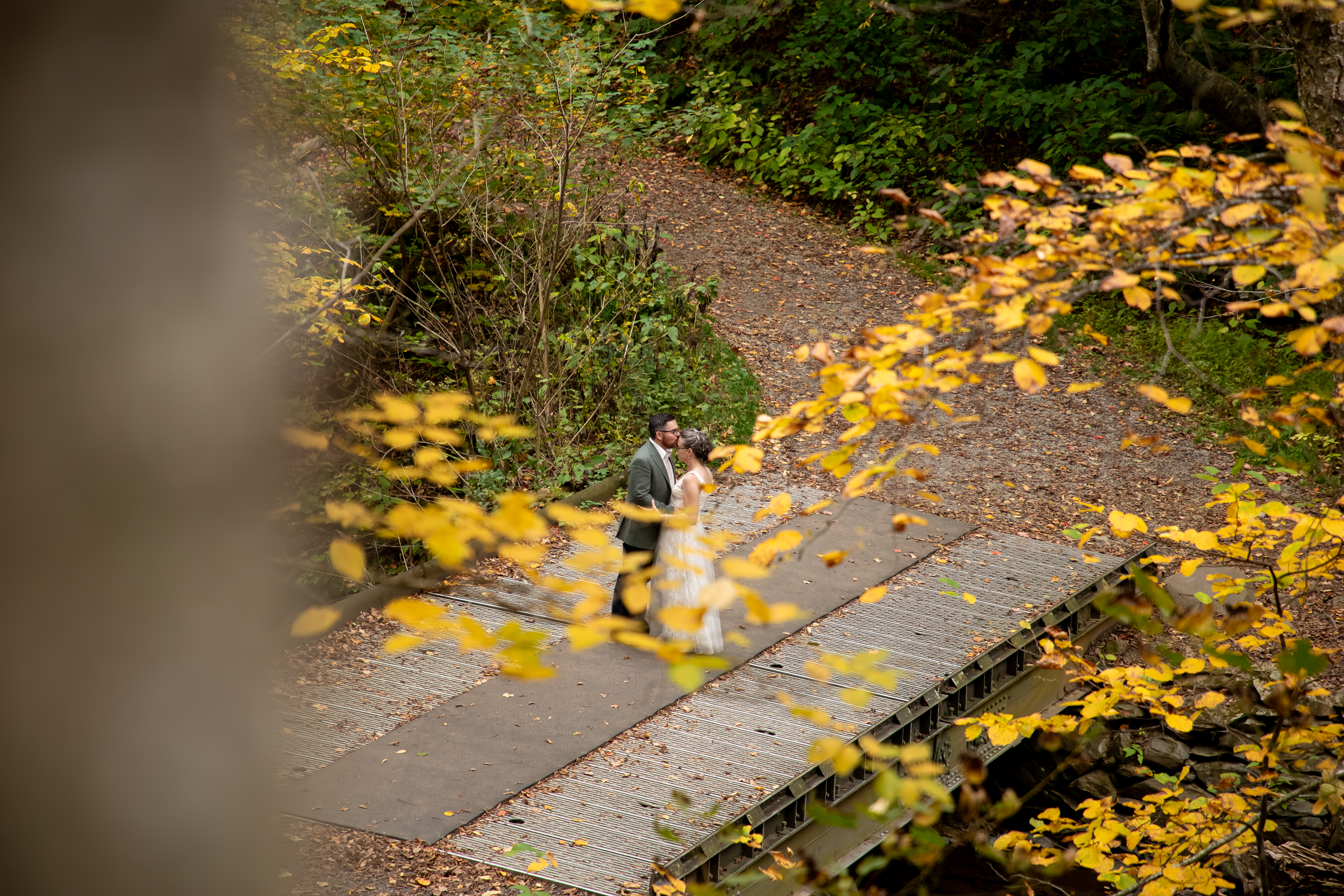 Aerial view of couple kissing on a wooden bridge framed by golden fall foliage in Shenandoah National Park